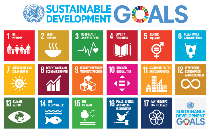 Sustainable Development Goals Kathleen Morris Primary Tech